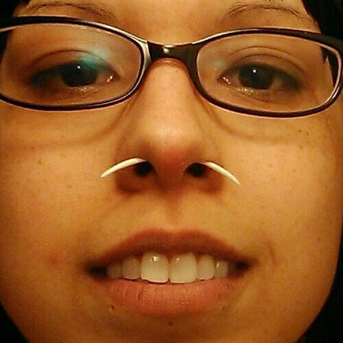 Bone Septum Tusk