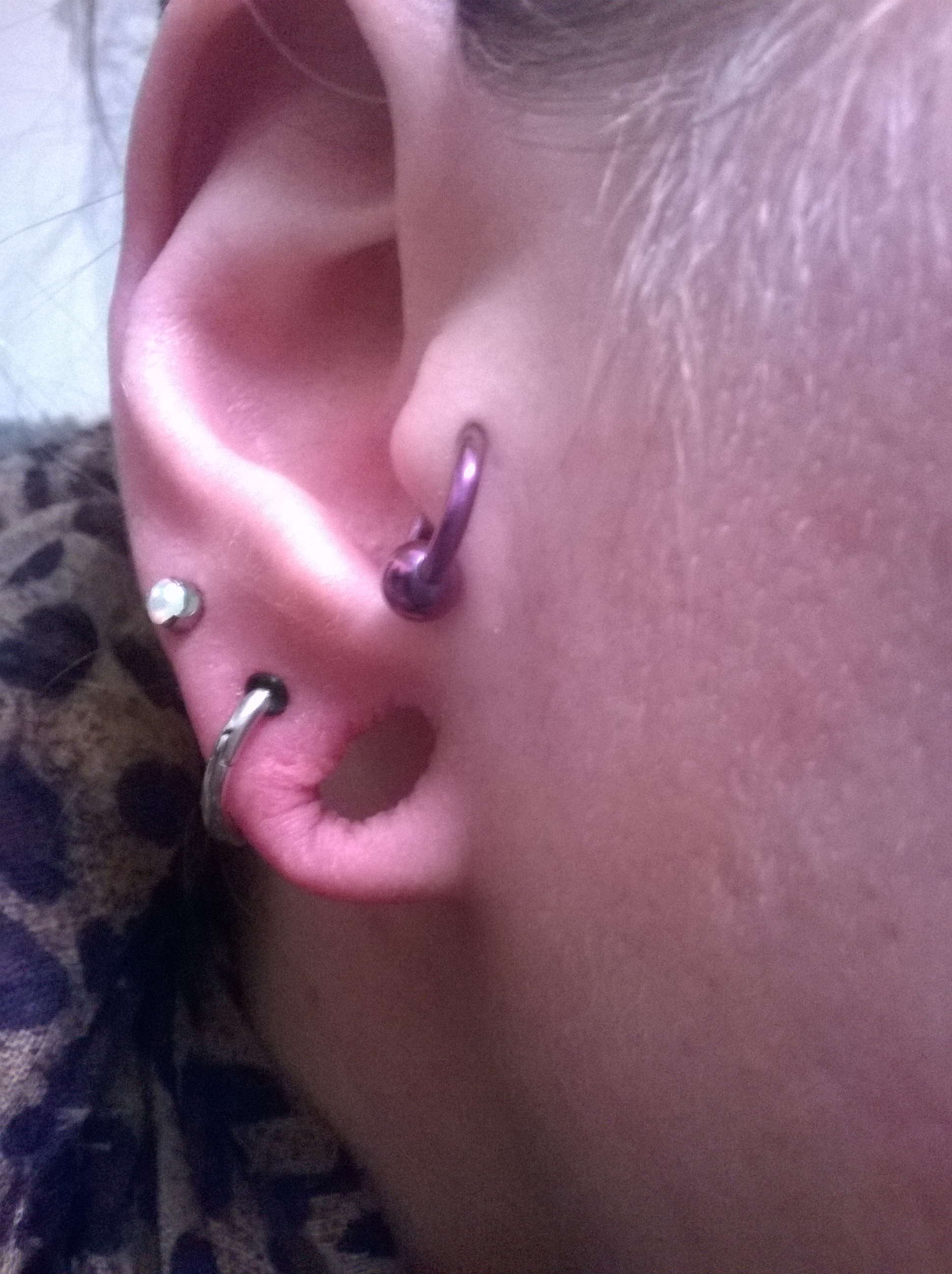 Titanium Captive Bead Ring