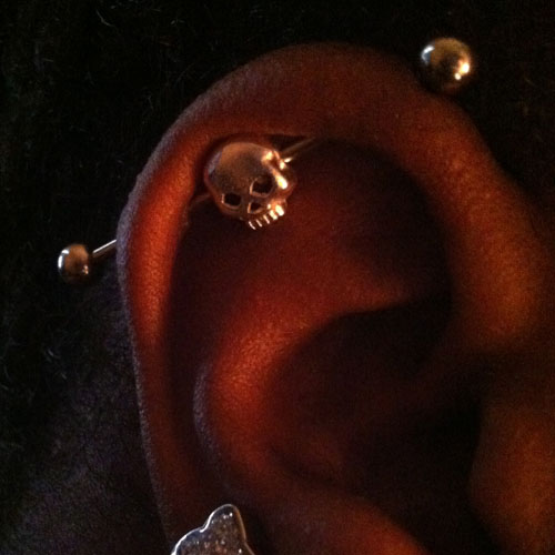 Skull Industrial Barbell Set