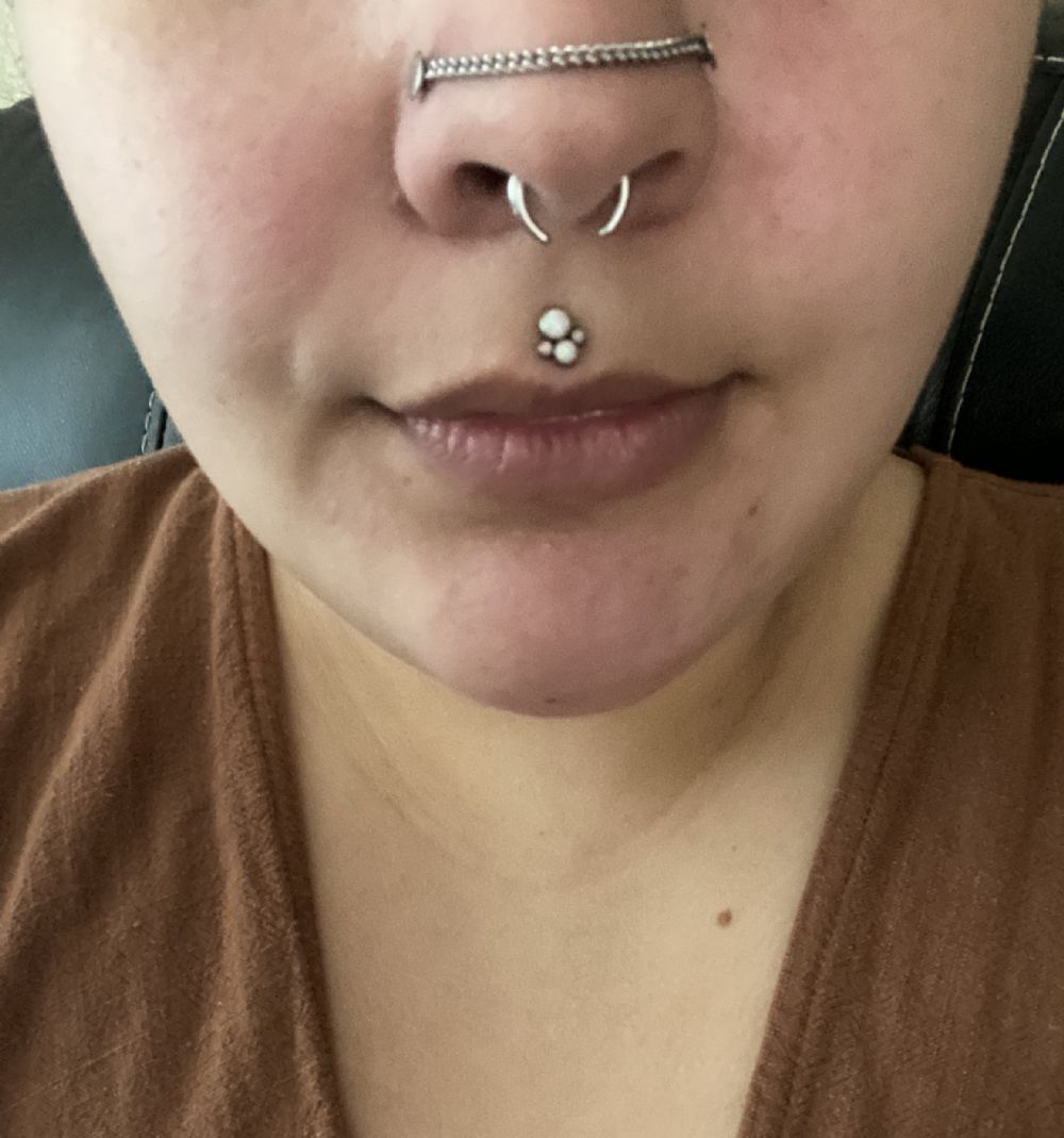 Stainless Steel Steel Septum Pincher Nose Ring