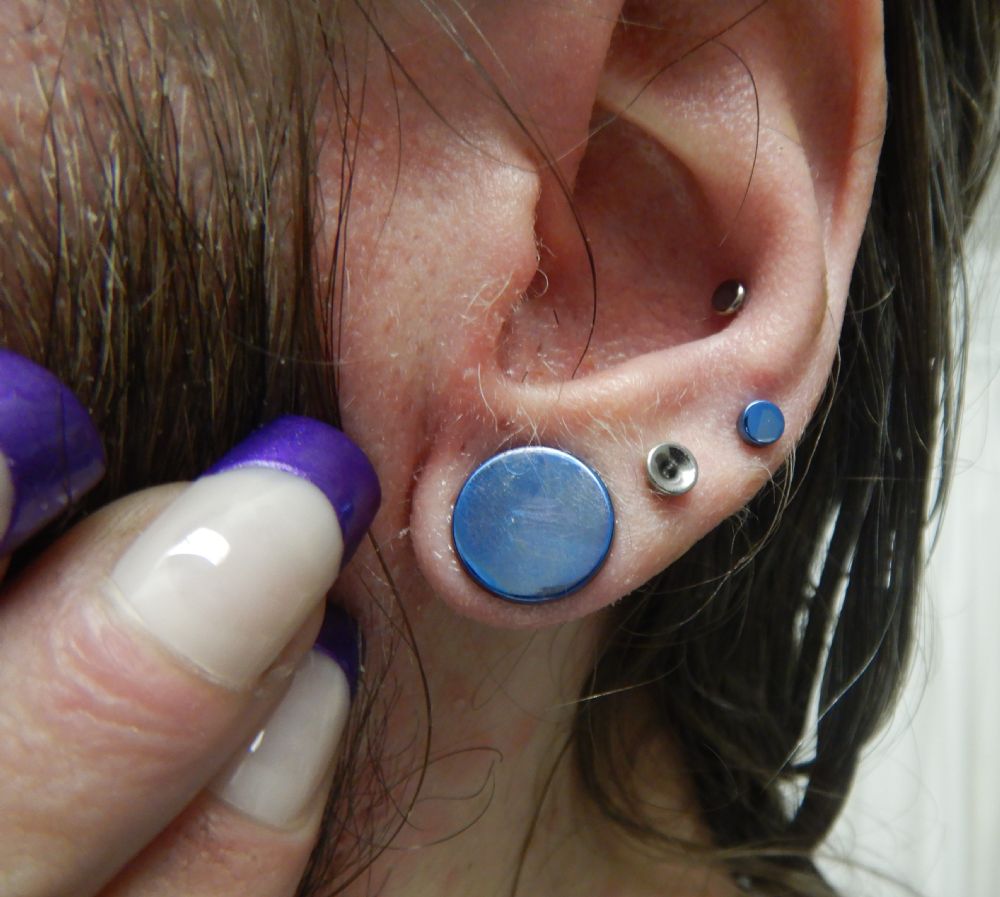 Titanium Single Flare Plug