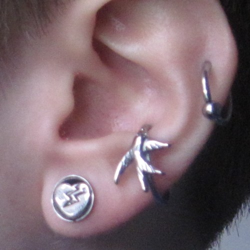 Single Flare Cat Eye Plug