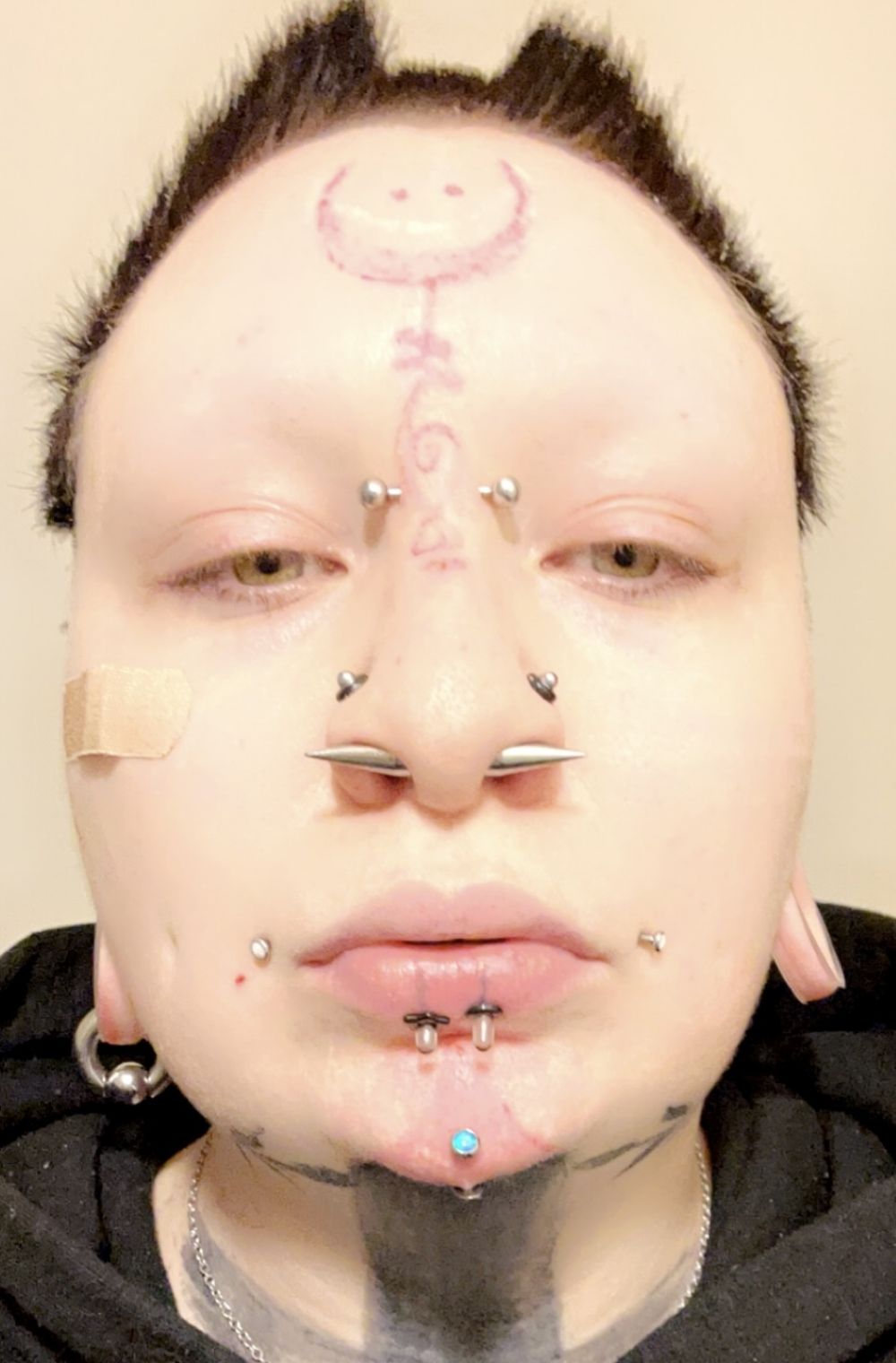 Spike Septum Piercing Area Astra Thorn Septum Ring – Elara Body