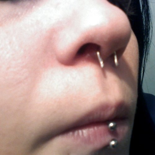 Economy Steel Septum Retainer