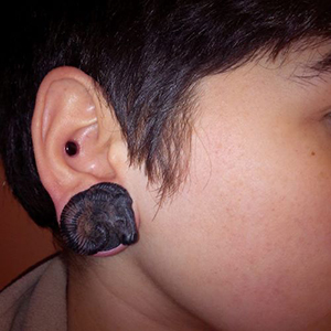 Arang Wood Ram Plugs Customer Photo