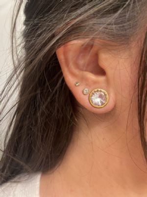 Gem Screw Back Plugs Customer Photo