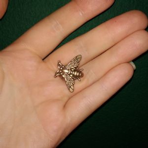 Bee Pin Customer Photo
