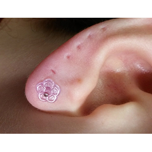 CUSTOM ORDER Quartz No Flare Plug Customer Photo