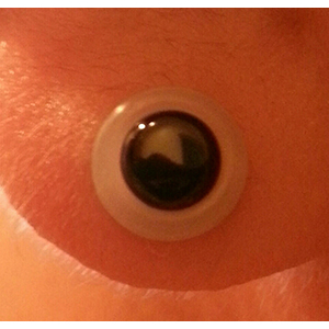 Clear Silicone O-Ring Customer Photo
