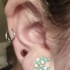 Single Flare Image Plugs Customer Photo