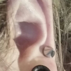 Mixed Wood Plugs Customer Photo