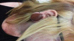 Bloodwood Teardrop Plugs Customer Photo