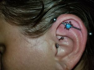 Synthetic Opal Turtle Industrial Barbell Customer Photo