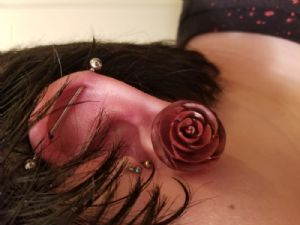 Wood Rosebud Plugs Customer Photo