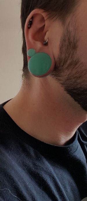 Stone and Glass Plugs Customer Photo
