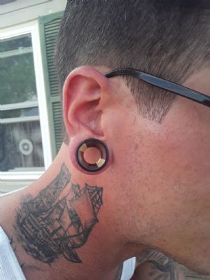Mixed Wood Plugs Customer Photo