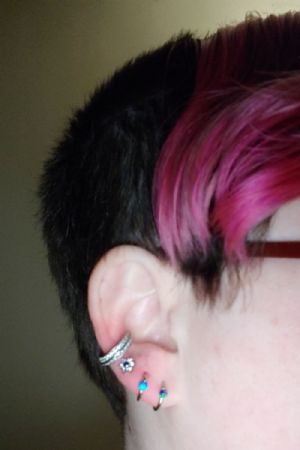 Discount Bin (Steel Septum Clickers) Customer Photo