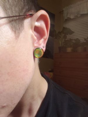 Single Flare Steel Hologram Plugs Customer Photo