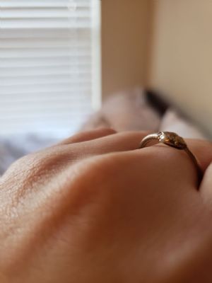 Ouroboros Ring Customer Photo