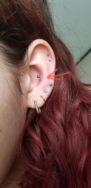 PVD Plated Implant Grade Titanium Straight Barbells Customer Photo