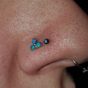 Titanium Threadless Rounded Bezel Set End Customer Photo