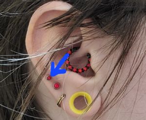 Titanium Internally Threaded Gem Disc End Customer Photo