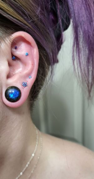 Single Flare AAA Labradorite Plugs Customer Photo