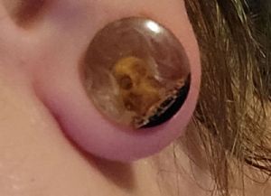Dead Men Tell No Tales Plugs Customer Photo