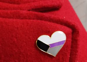 Pride Heart Pins Customer Photo