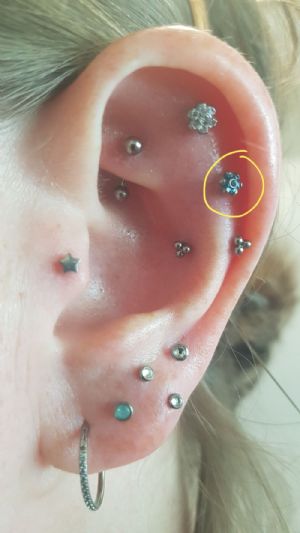 Titanium Threadless Flower End Customer Photo