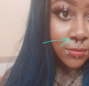 Stainless Steel Steel Septum Pincher Nose Ring