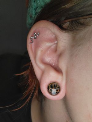Single Flare Glass Swirl Plug Customer Photo