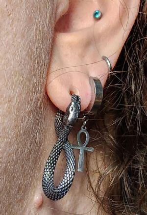 Steel Snake Hoop Earring Customer Photo