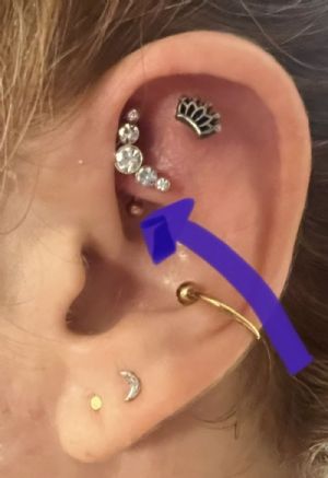 Internally Threaded Plated Titanium Curved Barbell Customer Photo