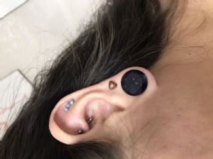 Faceted Stone and Glass Plug Customer Photo