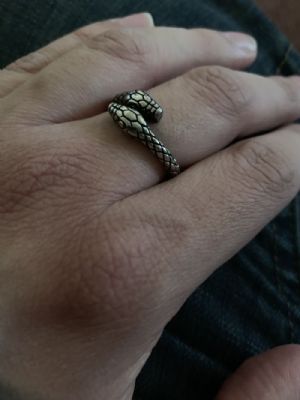 Steel Serpent Ring Customer Photo