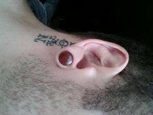 Double Flared Wood Plug Customer Photo
