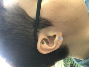 Single Flare Dome Front Stone and Glass Plugs Customer Photo
