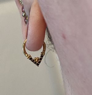 Pyramid Gem Septum Clicker Customer Photo