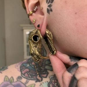 Solid Brass Saber Tooth Cat Weights Customer Photo