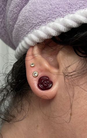 Stone and Glass Rose Plugs Customer Photo