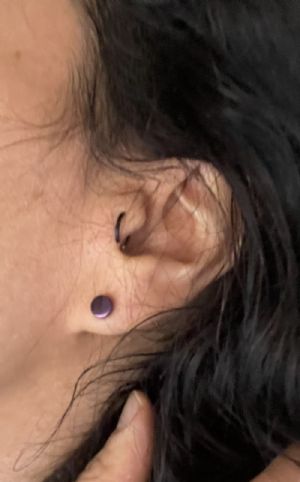 Titanium Single Flare Plug Customer Photo