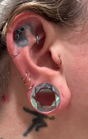Faceted Glass Polaris Plugs Customer Photo