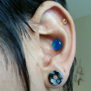 Glass Solid Color Conch Pins Customer Photo