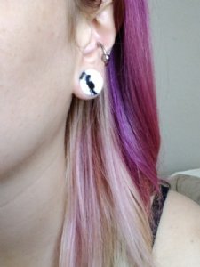 Zebra Jasper Stone Plug Customer Photo