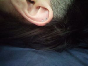 Glass Nosebone Customer Photo