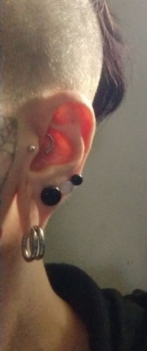 Single Flare Black Agate Plug Customer Photo