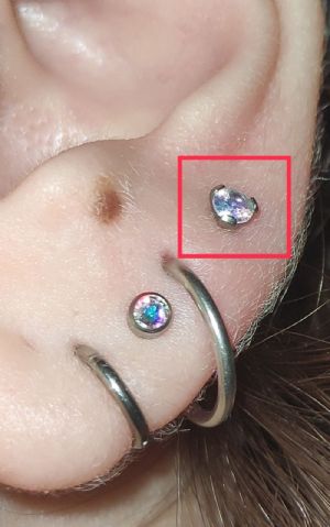 CUSTOM ORDER Titanium Faceted Three Prong Set Threaded End Customer Photo
