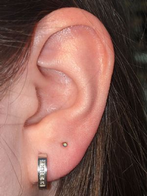 Titanium Threadless Rounded Bezel Set End Customer Photo