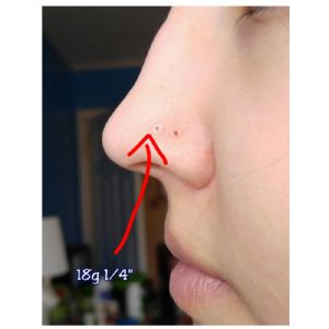 Glass Nosebone Customer Photo